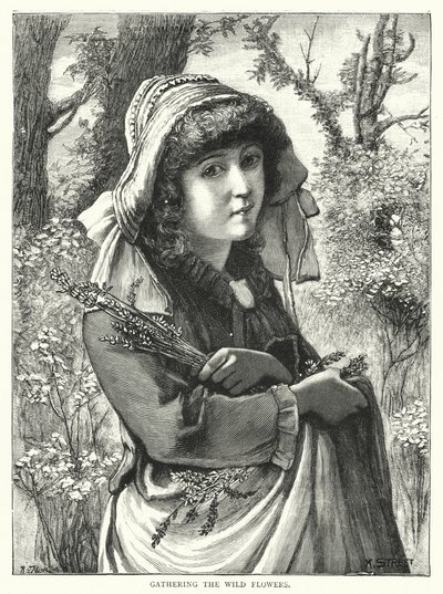 Cueillir les fleurs sauvages (gravure) - English School