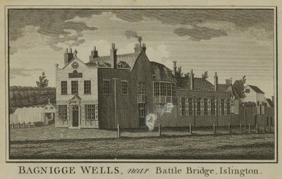Vue générale de Bagnigge Wells - English School