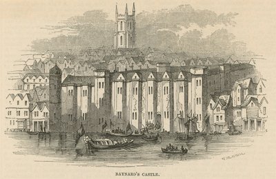 Vue générale du château de Baynards - English School