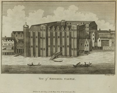Vue générale du château de Baynards - English School