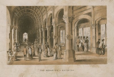 Vue générale de l