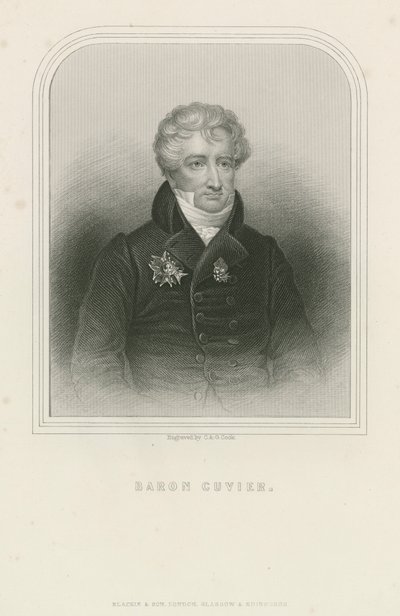Georges Cuvier, naturaliste et zoologiste français - English School