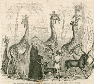 Girafes et leurs gardiens nubiens aux Surrey Zoological Gardens, Londres - English School