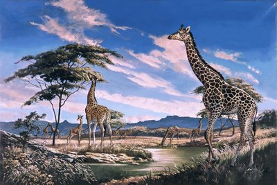 Girafes en Afrique - English School