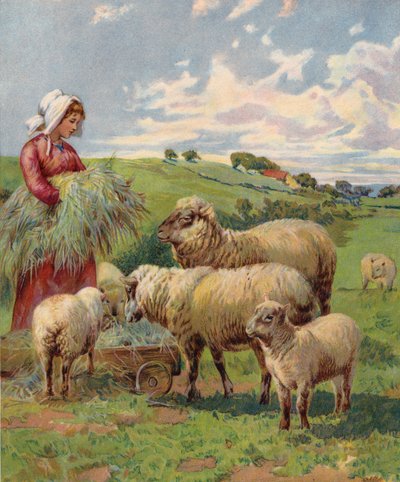 Fille nourrissant des moutons - English School