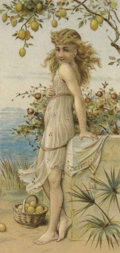 Fille cueillant des citrons - English School