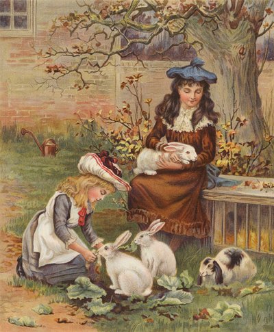 Filles prenant soin de leurs lapins de compagnie - English School