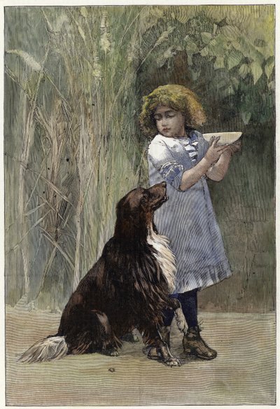 Donne-moi un peu - English School