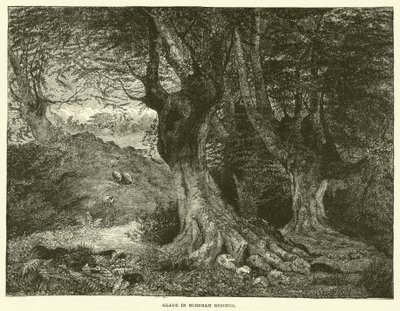 Clairière à Burnham Beeches (gravure) - English School