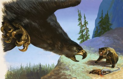 Aigle royal attaquant un ours pour un animal dans un piège - English School