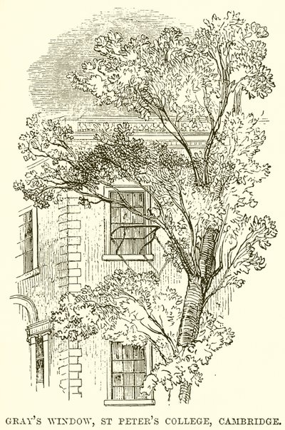 Fenêtre de Gray, St Peter