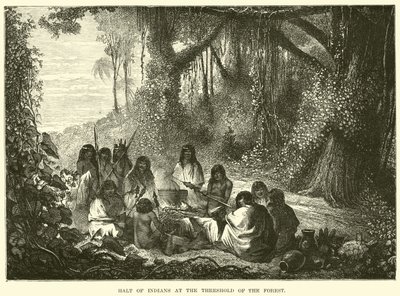 Halte des Indiens au seuil de la forêt - English School