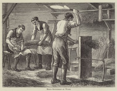 Travail des égreneurs à main (gravure) - English School