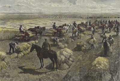 Récolte de blé dans les plaines nord-américaines - English School
