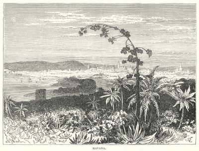 La Havane (gravure) - English School
