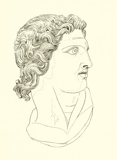 Tête, affichant vigueur virile et résolution héroïque - English School