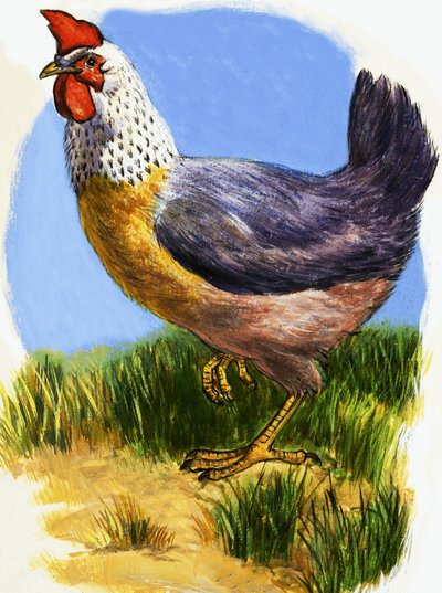 Poule - English School