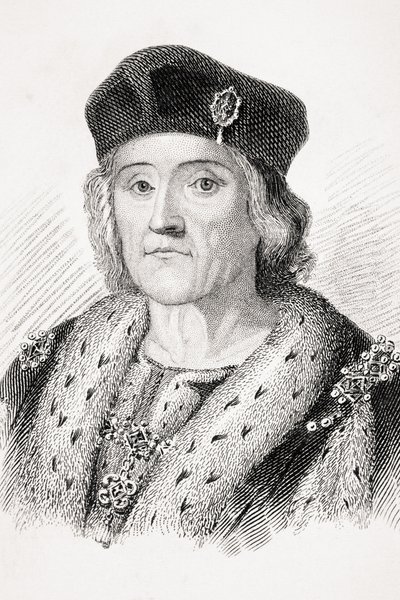 Henri VII d