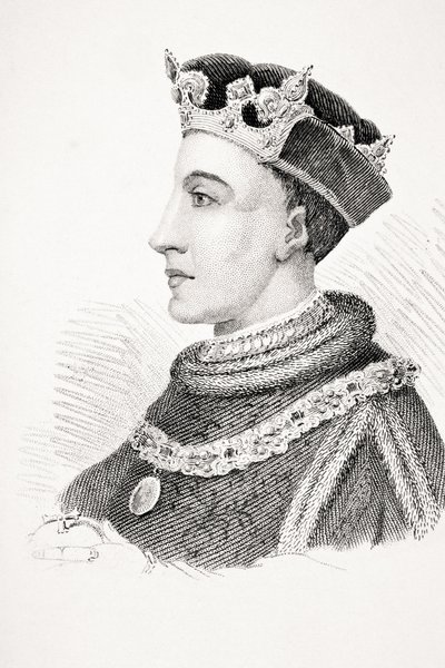 Henri V d
