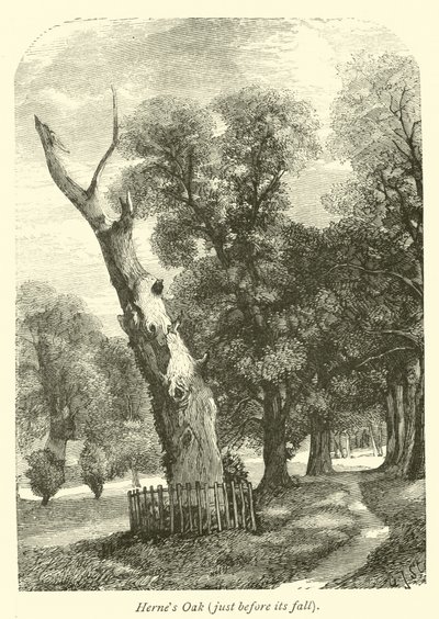 Chêne de Herne, juste avant sa chute - English School