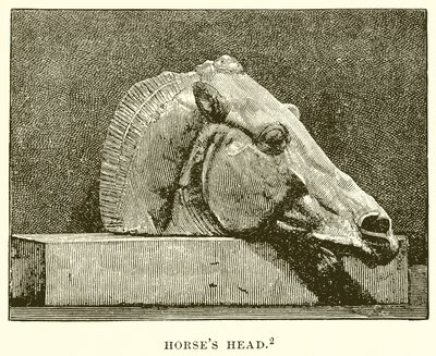 Tête de cheval - English School