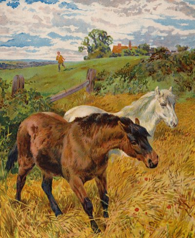 Chevaux dans un champ de maïs - English School