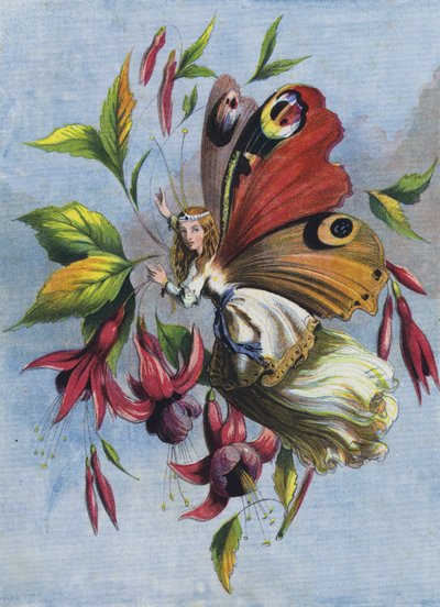 Comment Lady Butterfly a passé la journée - English School