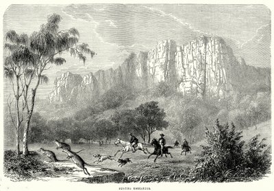 Chasse aux kangourous (gravure) - English School