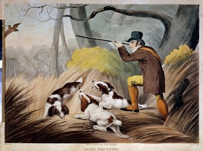 Chasse à la bécasse en Angleterre. Gravure aquarelle du 19ème siècle. Gien, musée de la chasse. - English School