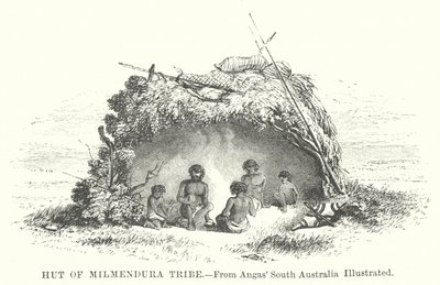 Hutte de la tribu Milmendura (gravure) - English School
