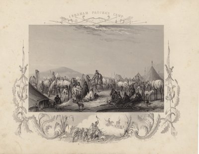 Camp d
