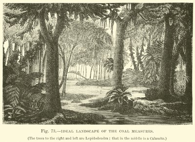 Paysage idéal des couches de charbon - English School