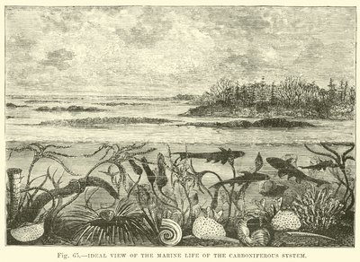 Vue idéale de la vie marine du système carbonifère - English School
