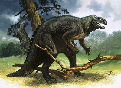 Iguanodon - English School