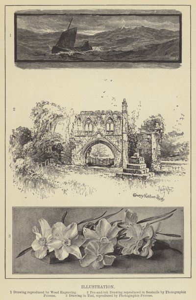 Illustration (gravure) - English School