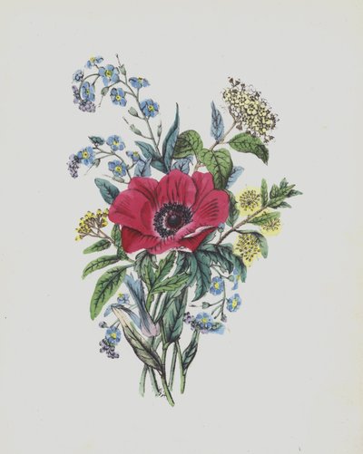 Illustration pour Moss Rose Album - English School