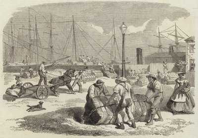 Illustrations de la guerre en Amérique - English School