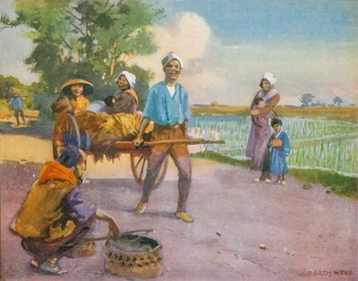 Au Japon lointain, retour des rizières - English School