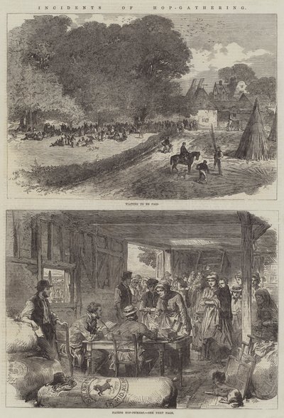 Incidents de la Récolte du Houblon - English School