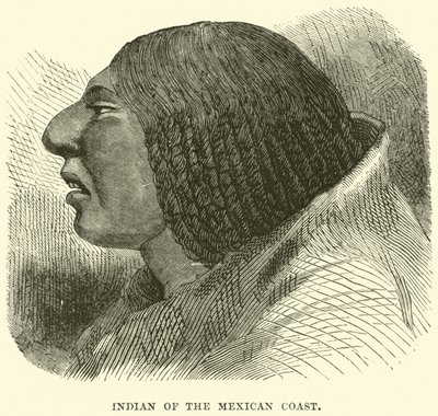 Indien de la côte mexicaine - English School