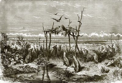 Sépulcre indien dans la prairie d