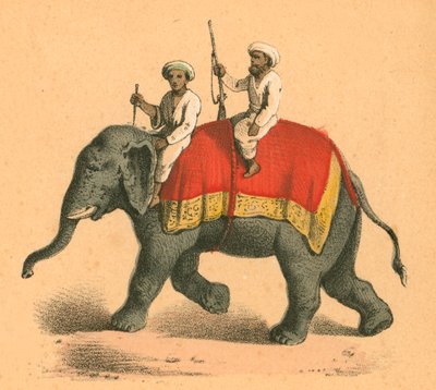 Indiens sur un éléphant - English School