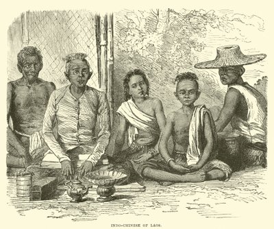 Indochinois du Laos - English School