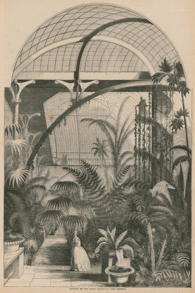 Intérieur du Grand Palmarum, Kew Gardens, Londres - English School
