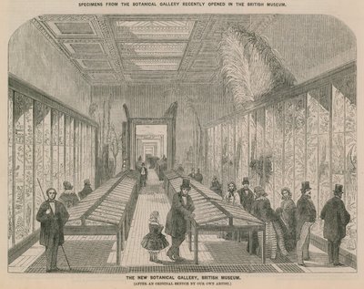 Vue intérieure de la nouvelle galerie botanique - English School