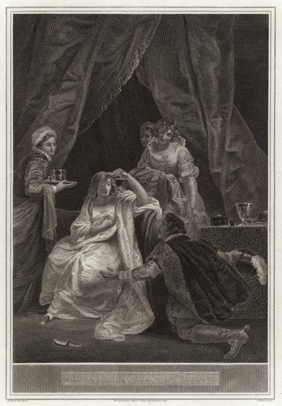 Entrevue entre la reine Élisabeth et le comte d