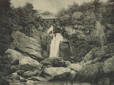 Chutes d