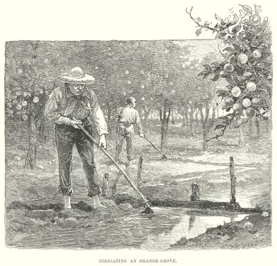 Irrigation d