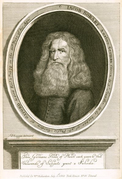 Jacob Bobart - English School