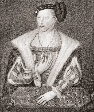 Jacques V, Roi d